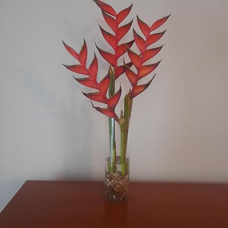 Recanto Da Madeira. Apartment Ribeira Brava Exterior photo